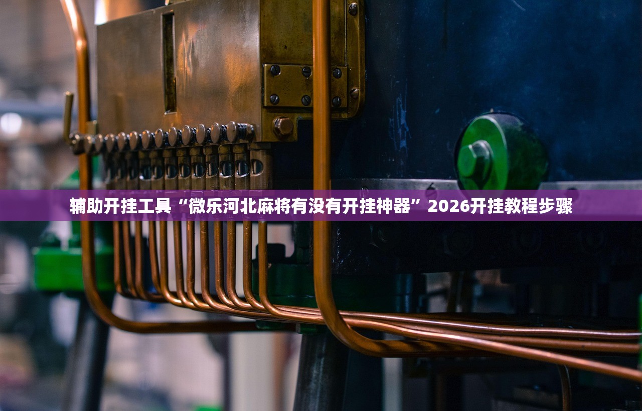 辅助开挂工具“微乐河北麻将有没有开挂神器”2026开挂教程步骤