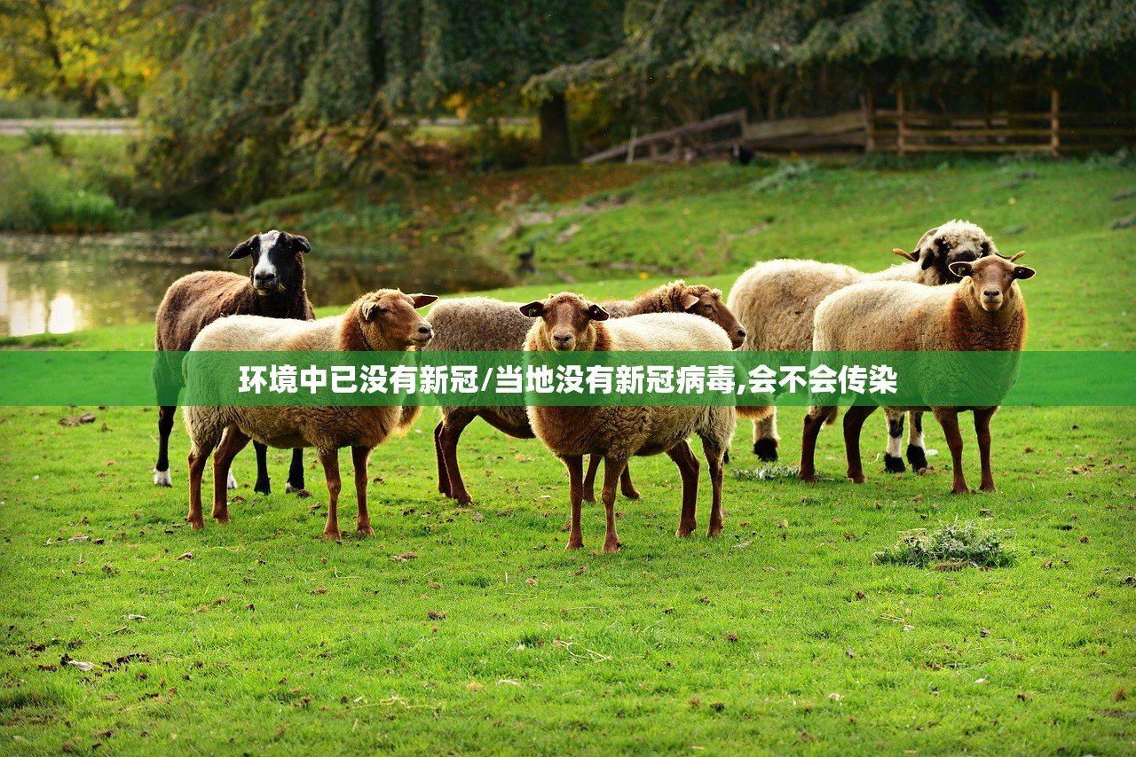 环境中已没有新冠/当地没有新冠病毒,会不会传染 环境中已没有新冠/当地没有新冠病毒,会不会传染