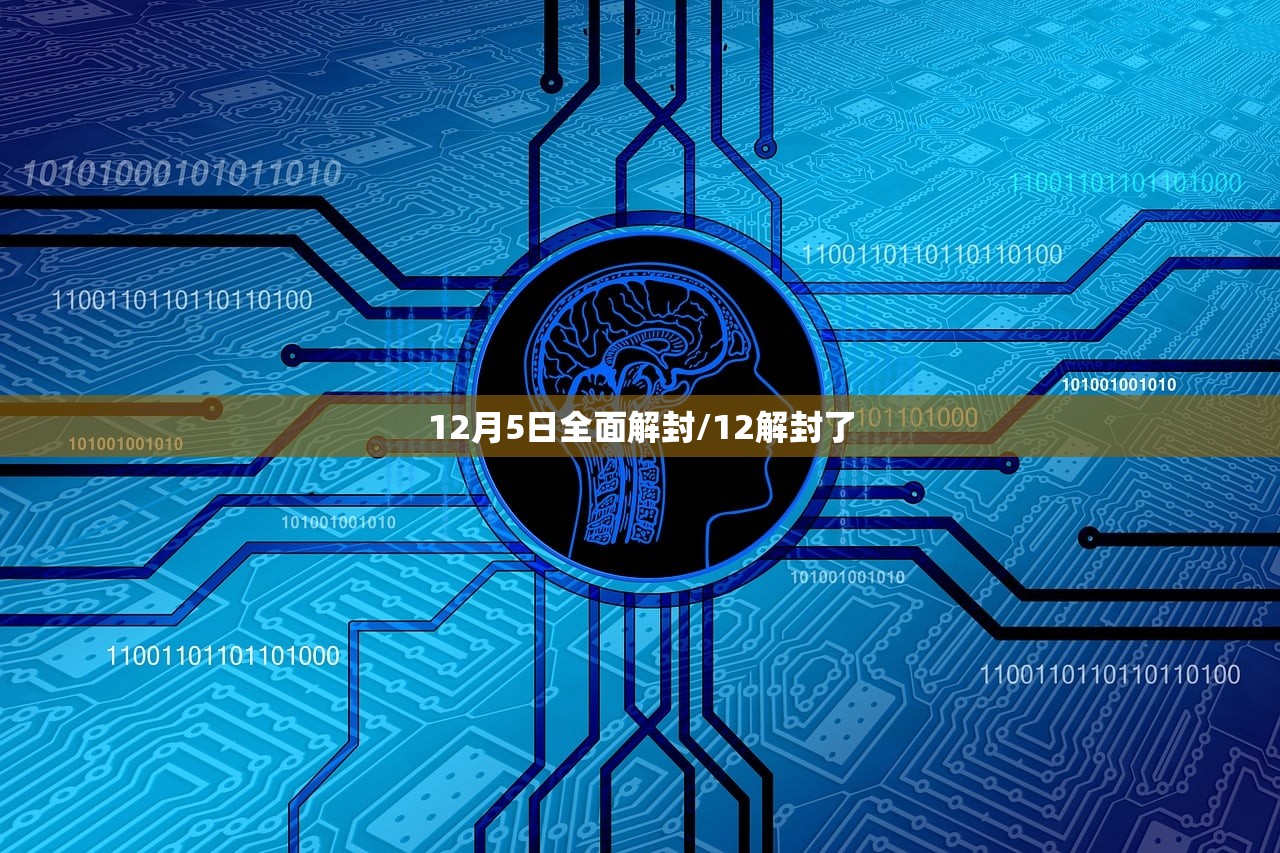 12月5日全面解封/12解封了