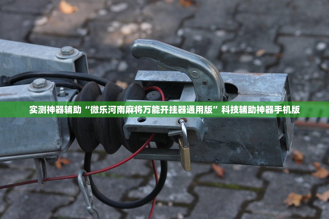 实测神器辅助“微乐河南麻将万能开挂器通用版”科技辅助神器手机版