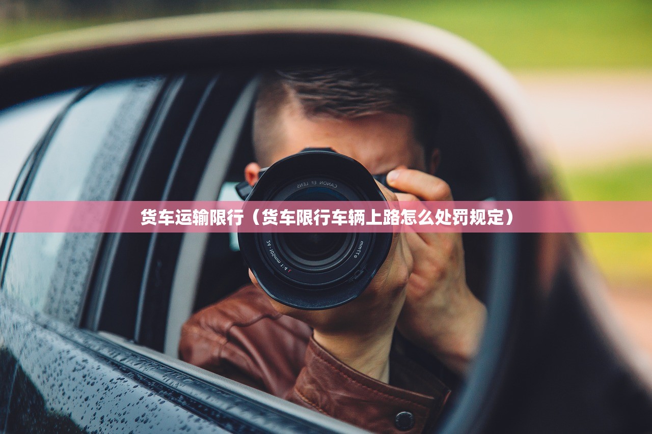 货车运输限行(货车限行车辆上路怎么处罚规定) 货车运输限行(货车限行车辆上路怎么处罚规定)