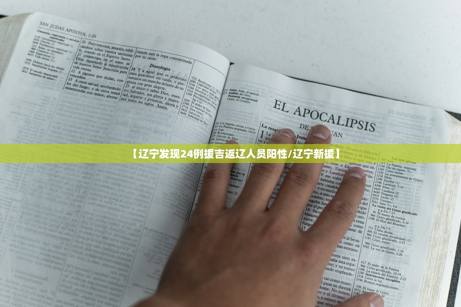 【辽宁发现24例援吉返辽人员阳性/辽宁新援】