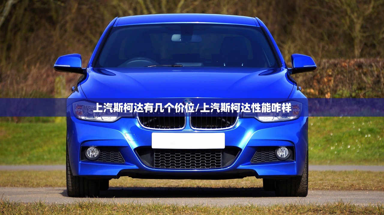 上汽斯柯达有几个价位/上汽斯柯达性能咋样