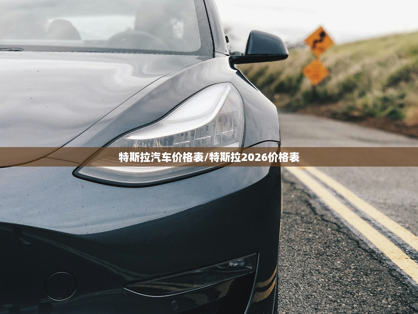 特斯拉汽车价格表/特斯拉2026价格表 特斯拉汽车价格表/特斯拉2026价格表