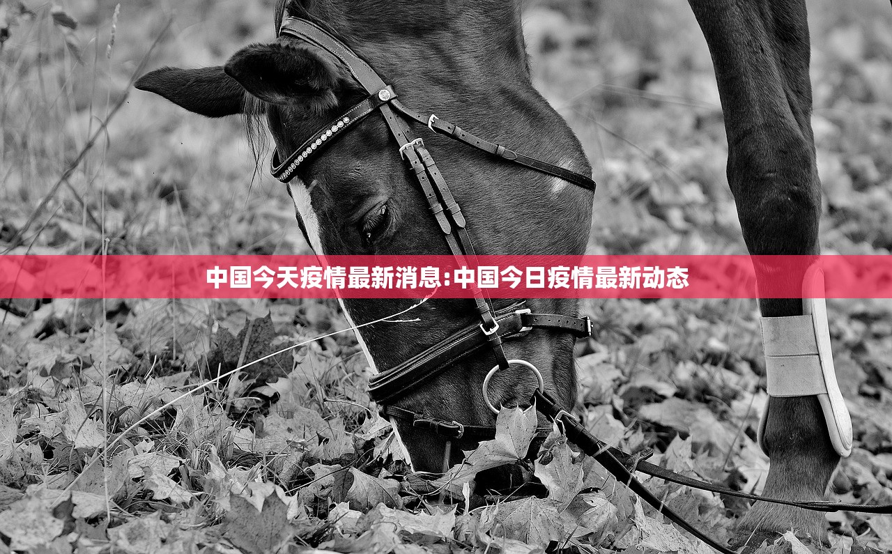 中国今天疫情最新消息:中国今日疫情最新动态