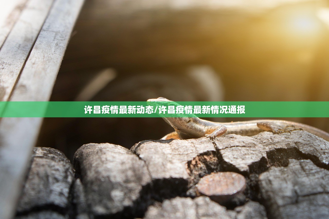 许昌疫情最新动态/许昌疫情最新情况通报 许昌疫情最新动态/许昌疫情最新情况通报