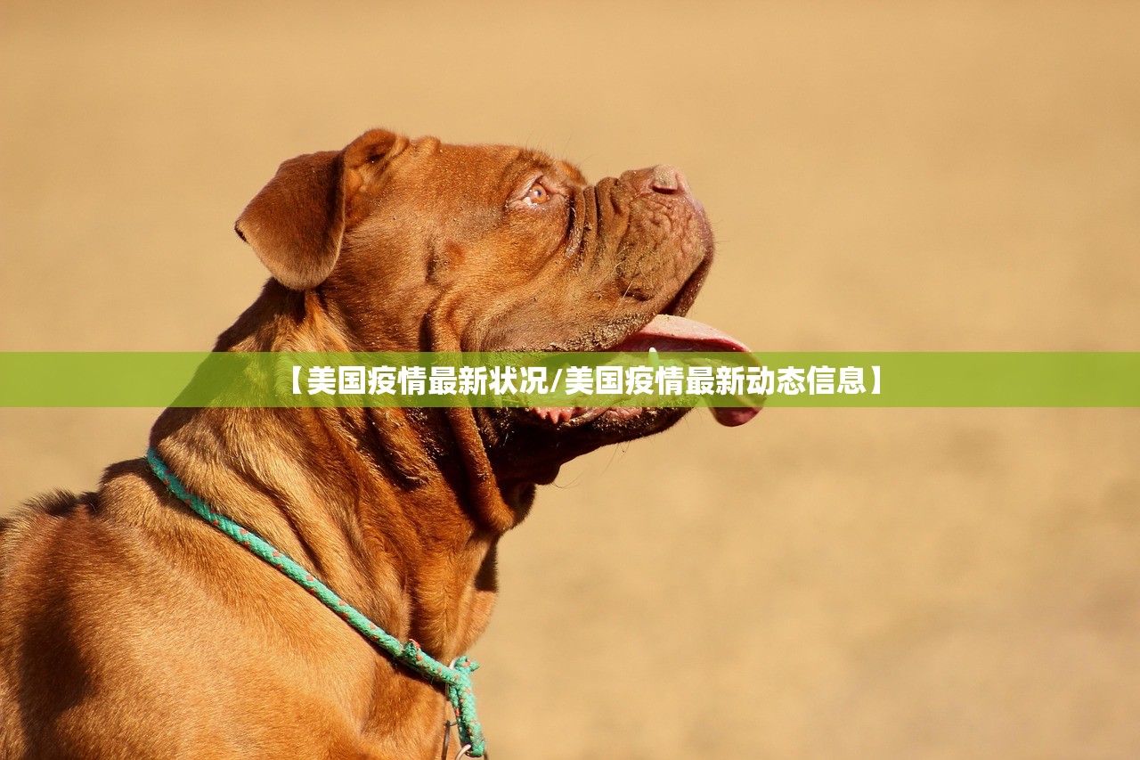 【美国疫情最新状况/美国疫情最新动态信息】 【美国疫情最新状况/美国疫情最新动态信息】