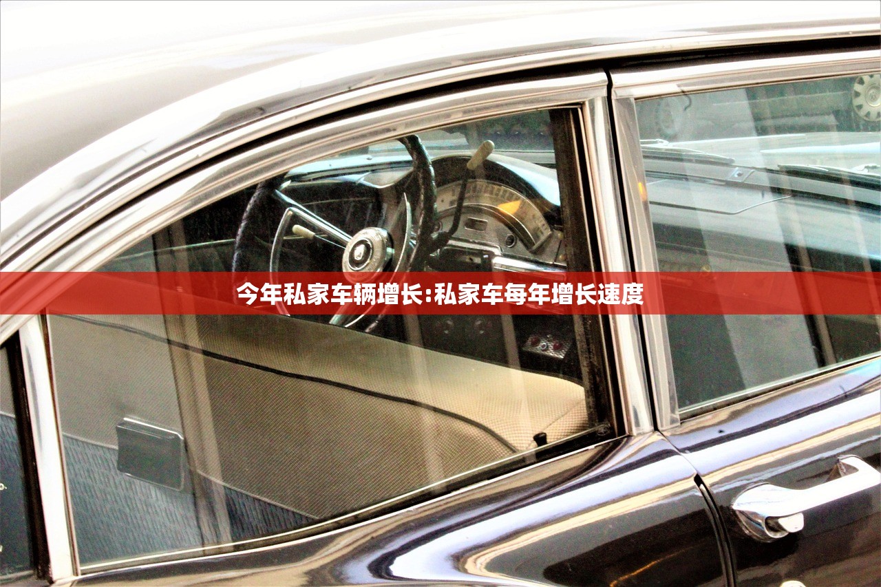 今年私家车辆增长:私家车每年增长速度