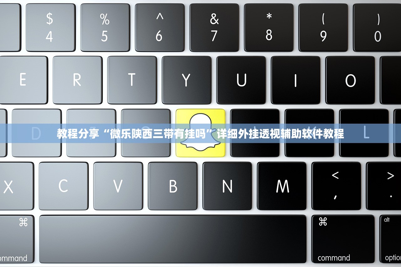 教程分享“微乐陕西三带有挂吗	”详细外挂透视辅助软件教程