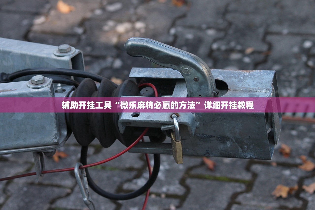 辅助开挂工具“微乐麻将必赢的方法”详细开挂教程
