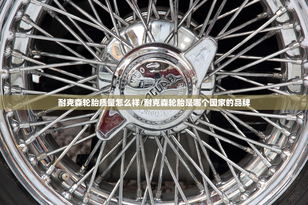 耐克森轮胎质量怎么样/耐克森轮胎是哪个国家的品牌