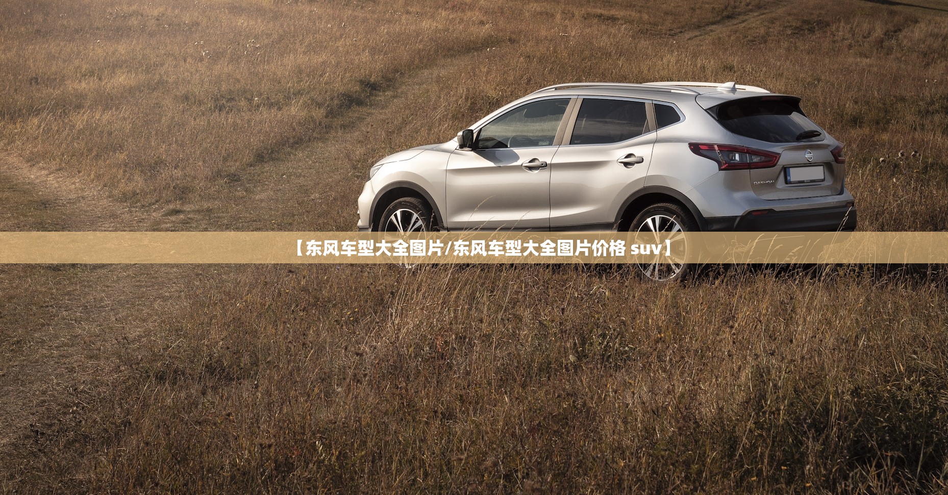 【东风车型大全图片/东风车型大全图片价格 suv】