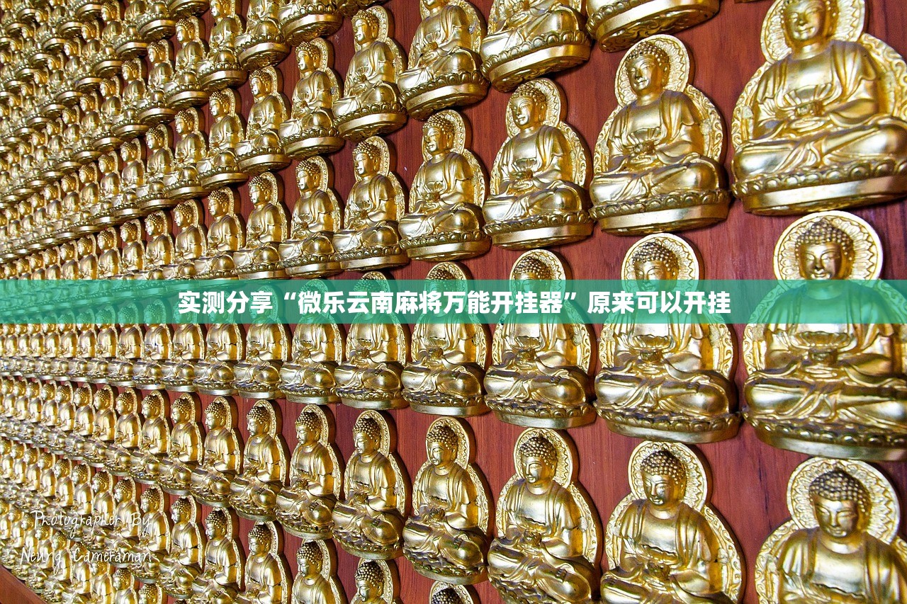 实测分享“微乐云南麻将万能开挂器”原来可以开挂