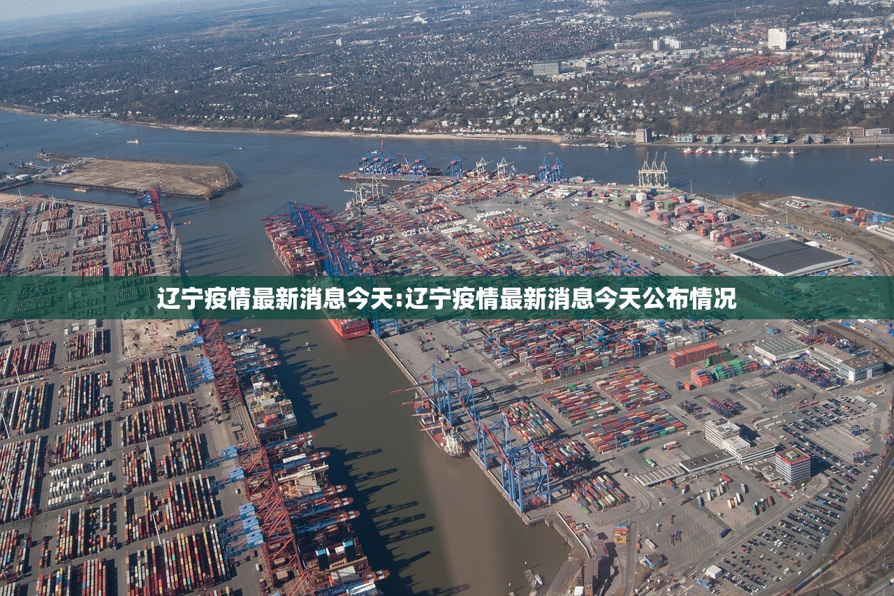 辽宁疫情最新消息今天:辽宁疫情最新消息今天公布情况
