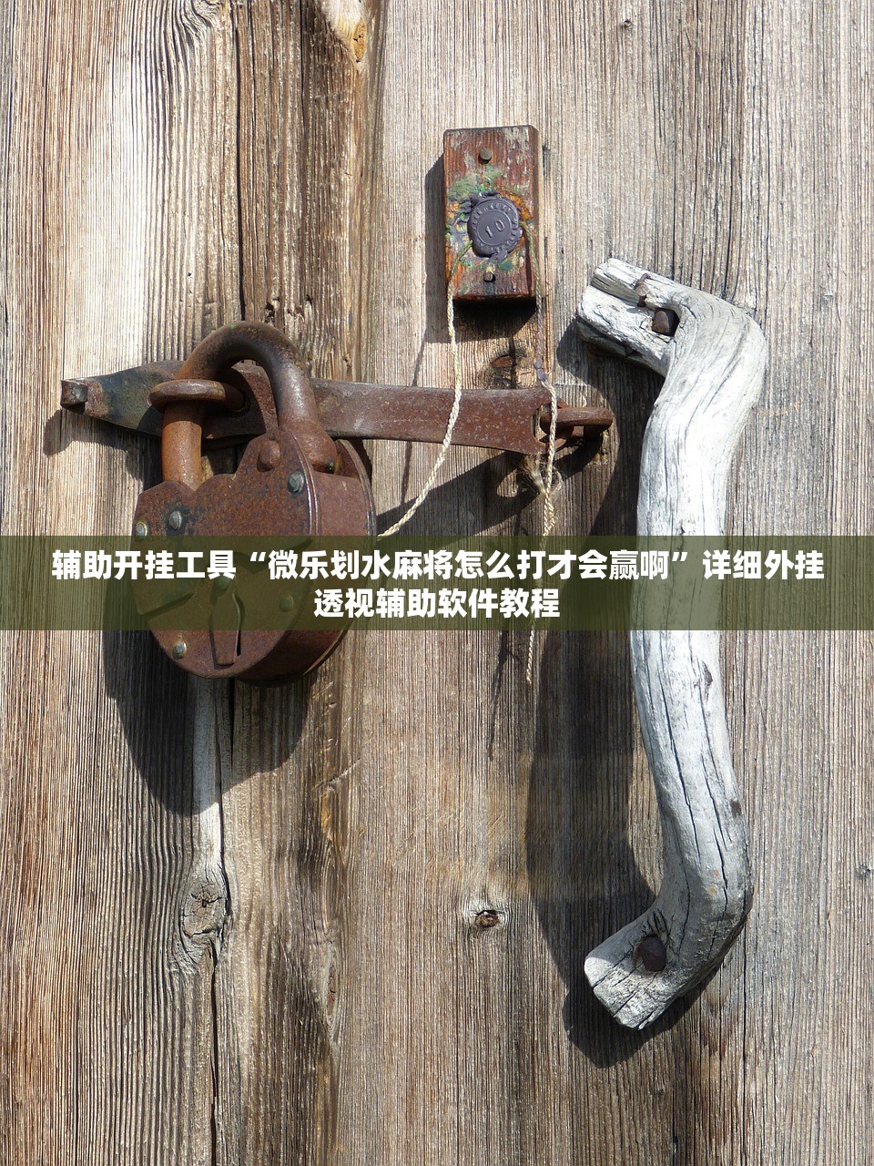 辅助开挂工具“微乐划水麻将怎么打才会赢啊”详细外挂透视辅助软件教程