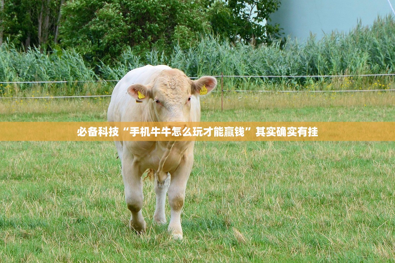 必备科技“手机牛牛怎么玩才能赢钱”其实确实有挂