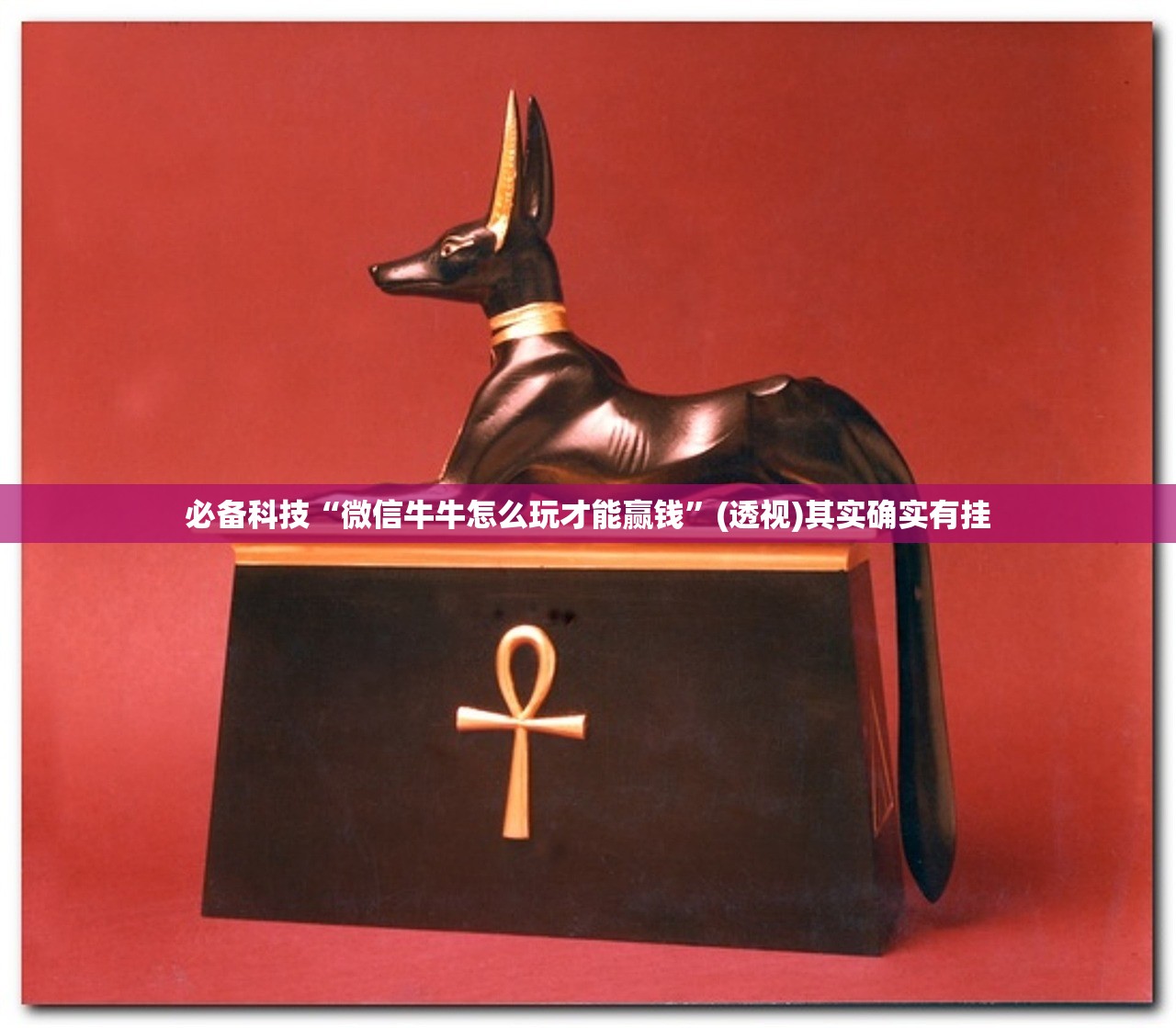 必备科技“微信牛牛怎么玩才能赢钱”(透视)其实确实有挂