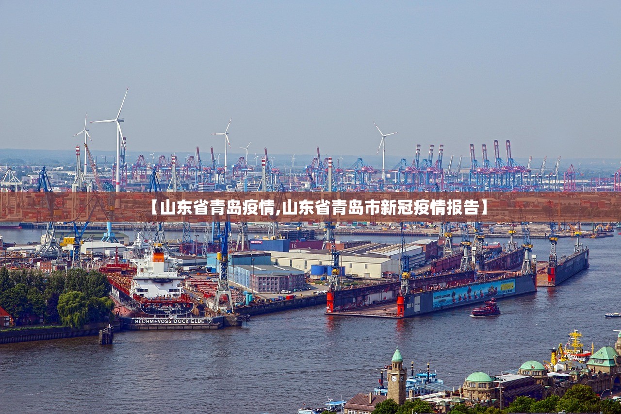 【山东省青岛疫情,山东省青岛市新冠疫情报告】