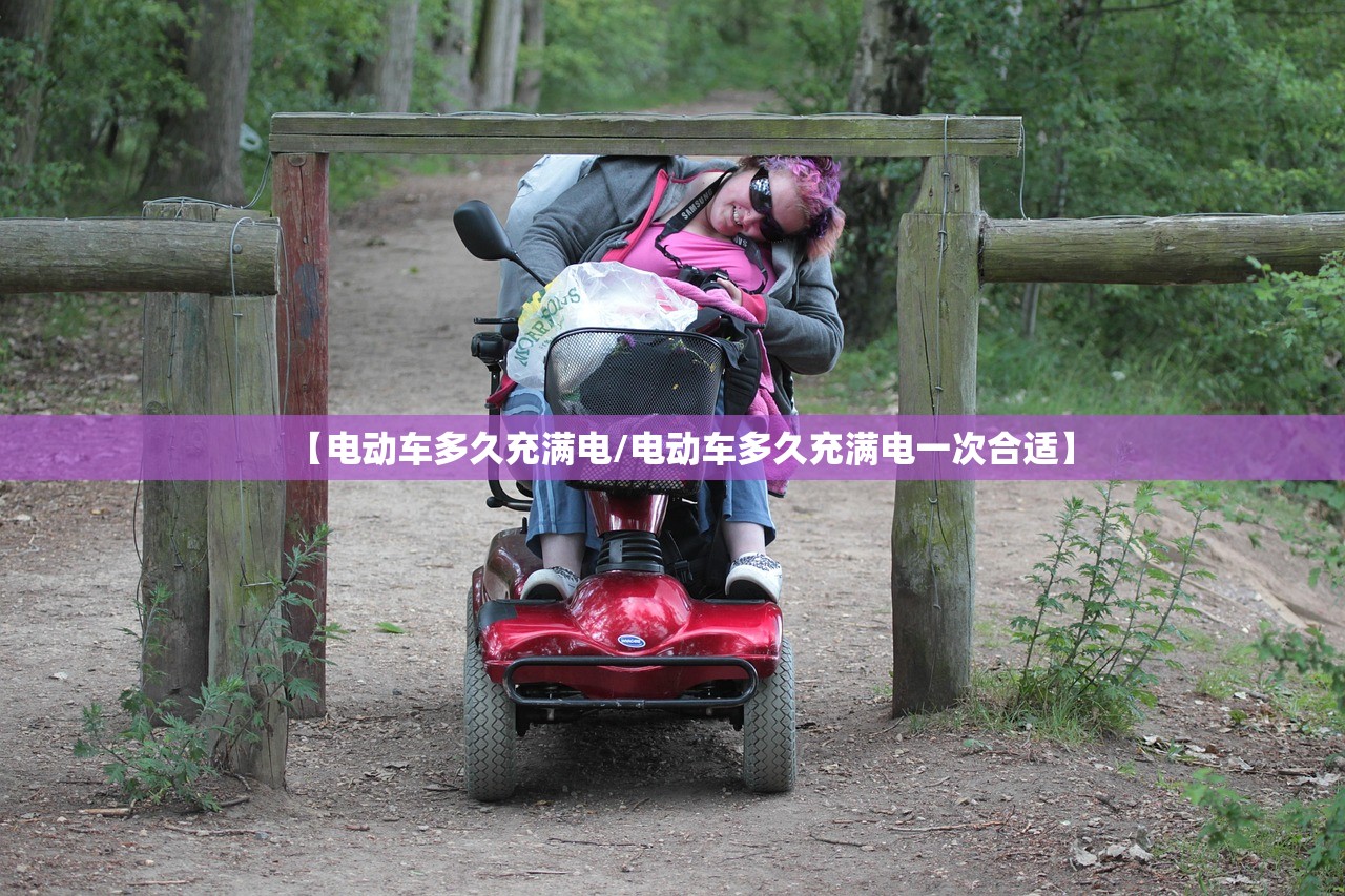 【电动车多久充满电/电动车多久充满电一次合适】