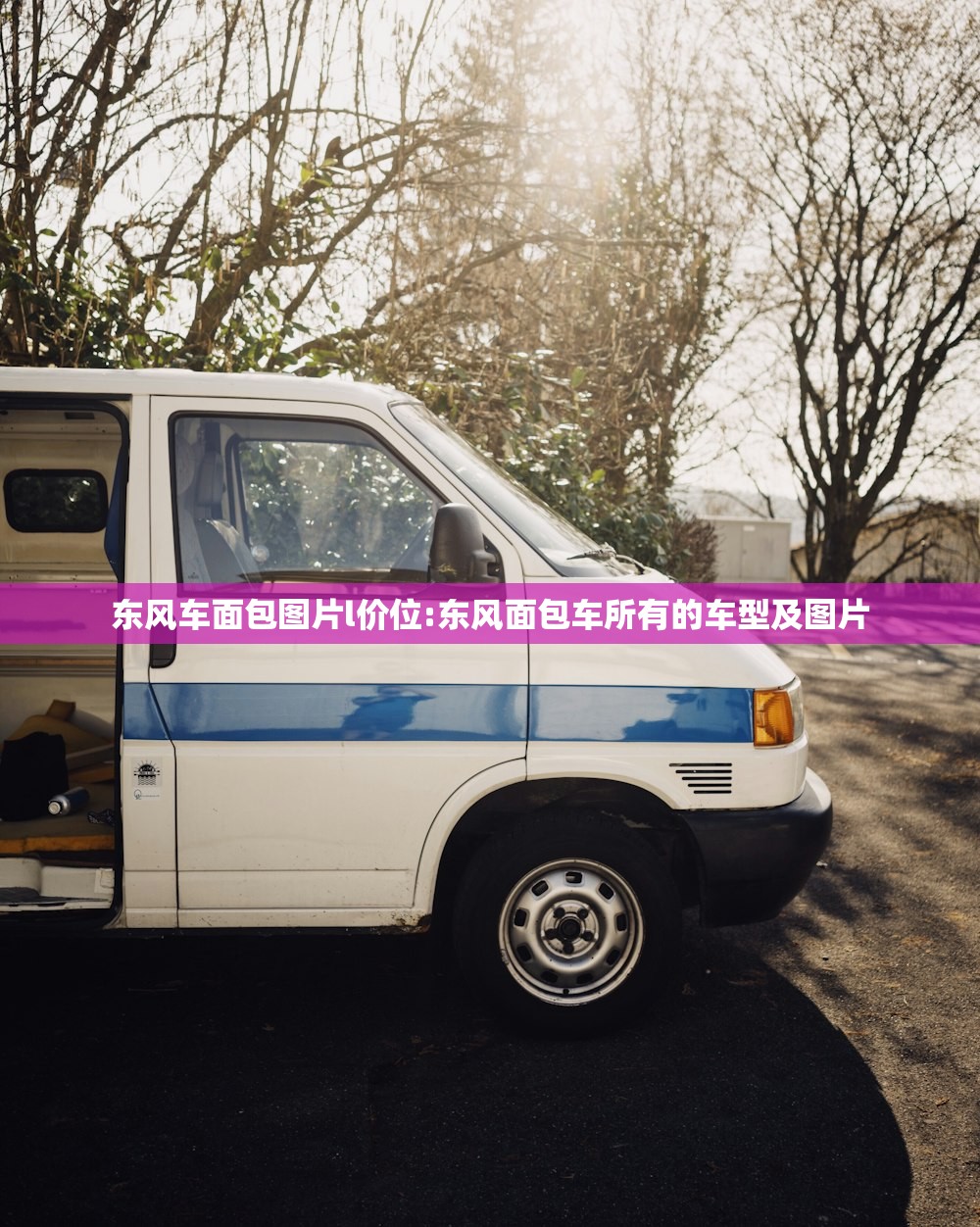东风车面包图片l价位:东风面包车所有的车型及图片