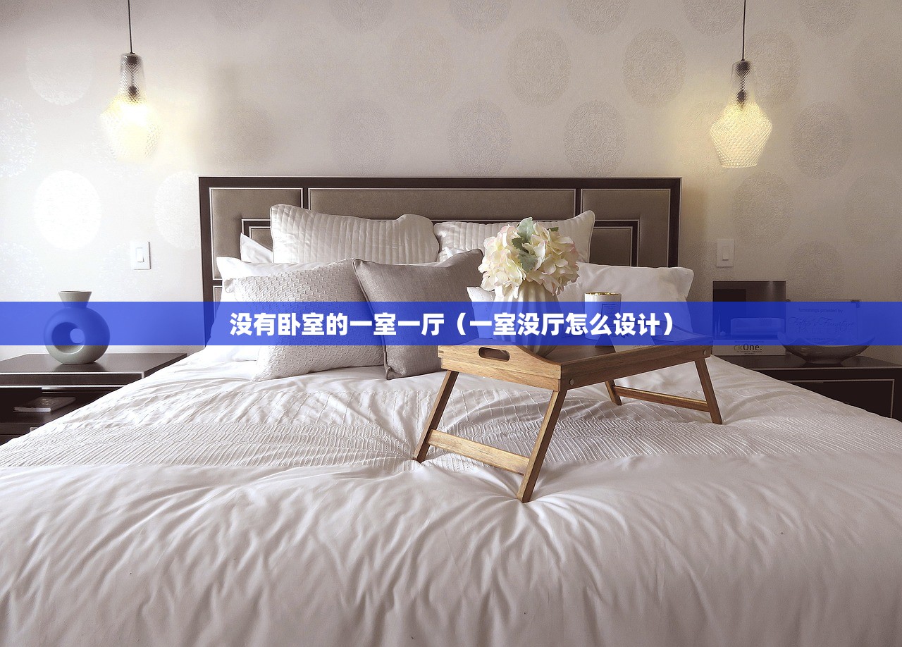 没有卧室的一室一厅（一室没厅怎么设计）