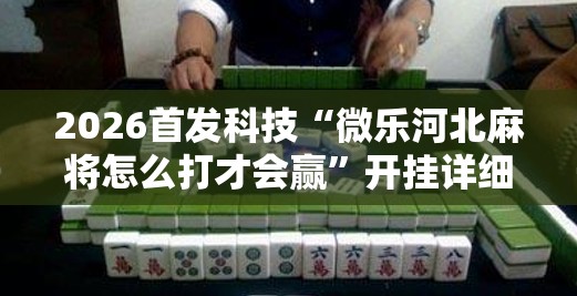 2026首发科技“微乐河北麻将怎么打才会赢”开挂详细教程