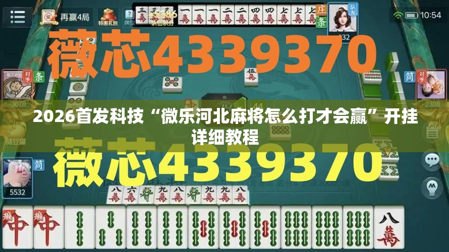 2026首发科技“微乐河北麻将怎么打才会赢	”开挂详细教程