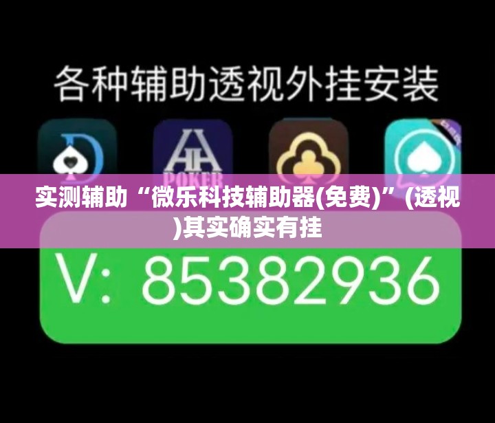 实测辅助“微乐科技辅助器(免费)”(透视)其实确实有挂