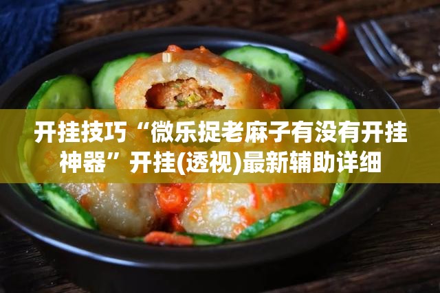 开挂技巧“微乐捉老麻子有没有开挂神器”开挂(透视)最新辅助详细