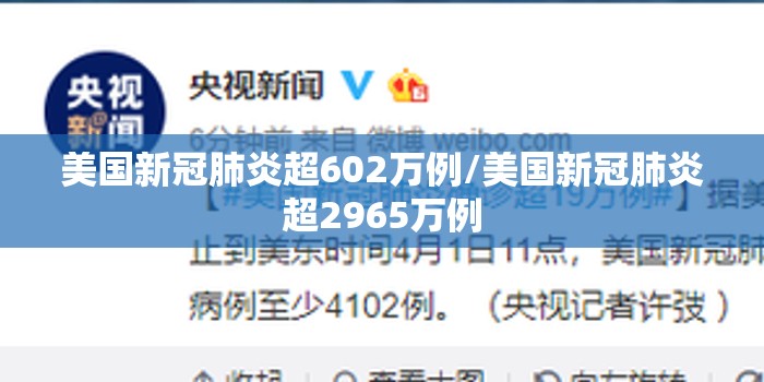 美国新冠肺炎超602万例/美国新冠肺炎超2965万例 美国新冠肺炎超602万例/美国新冠肺炎超2965万例