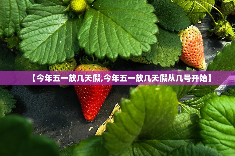 【今年五一放几天假,今年五一放几天假从几号开始】