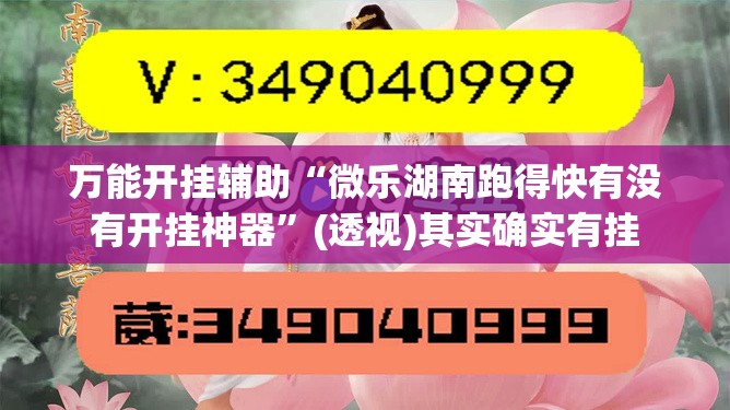 万能开挂辅助“微乐湖南跑得快有没有开挂神器”(透视)其实确实有挂