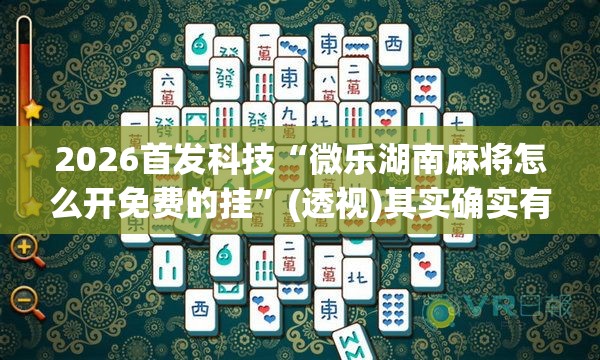 2026首发科技“微乐湖南麻将怎么开免费的挂”(透视)其实确实有挂