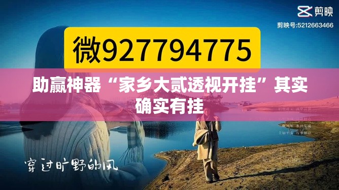 助赢神器“家乡大贰透视开挂”其实确实有挂