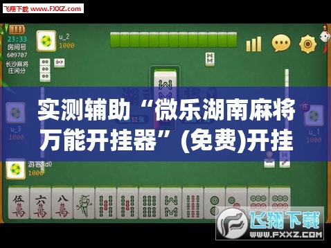实测辅助“微乐湖南麻将万能开挂器	”(免费)开挂辅助教学(最新辅助开挂教程)