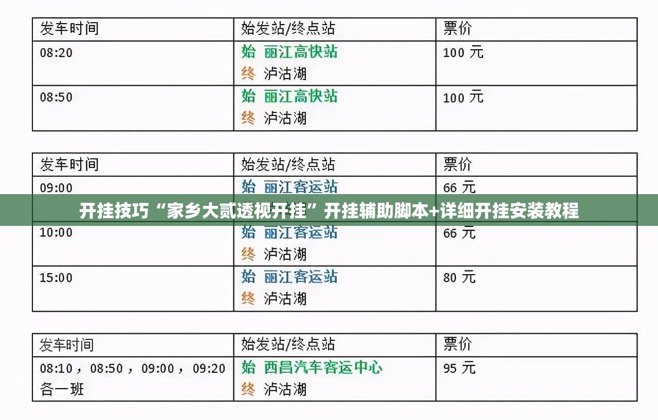 开挂技巧“家乡大贰透视开挂	”开挂辅助脚本+详细开挂安装教程
