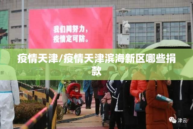 疫情天津/疫情天津滨海新区哪些捐款