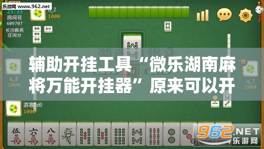 辅助开挂工具“微乐湖南麻将万能开挂器	”原来可以开挂