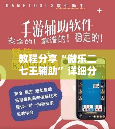 教程分享“微乐二七王辅助”详细分享装挂步骤