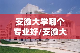 安徽大学哪个专业好/安徽大学哪个专业比较好