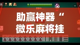助赢神器“微乐麻将挂试用一天”详细分享装挂步骤