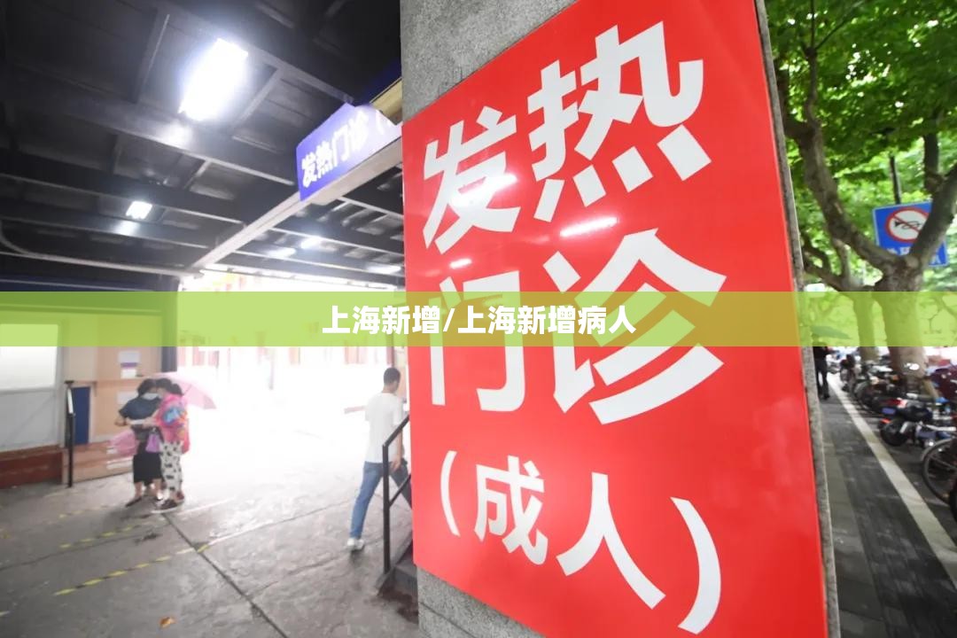 上海新增/上海新增病人