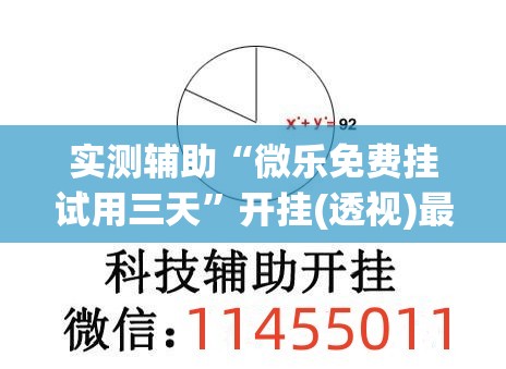 实测辅助“微乐免费挂试用三天	”开挂(透视)最新辅助详细