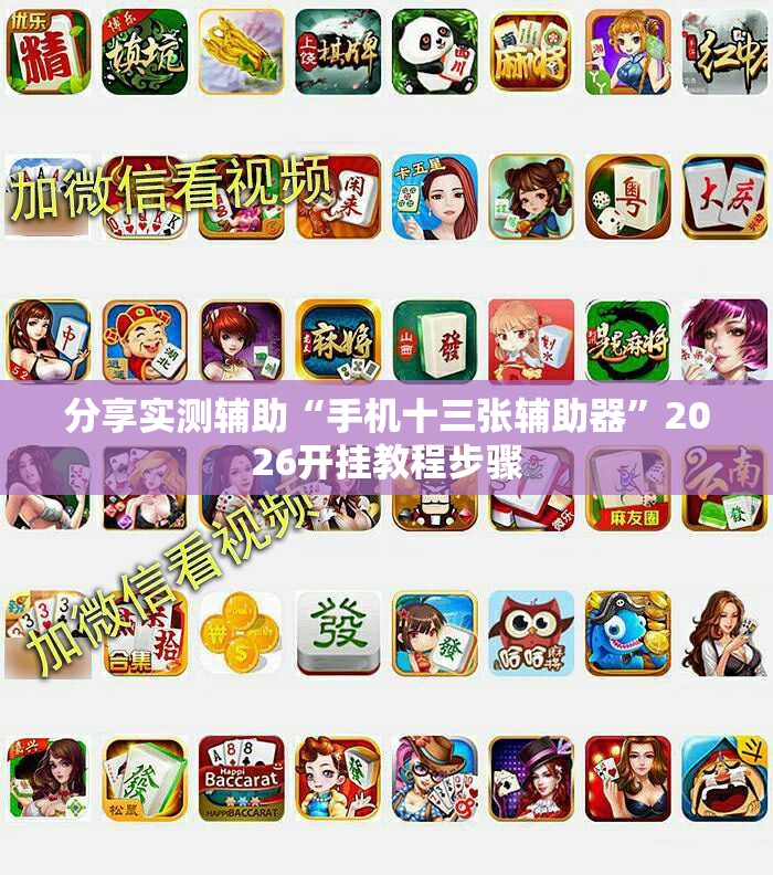 分享实测辅助“手机十三张辅助器”2026开挂教程步骤