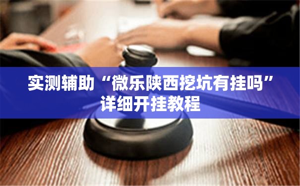 实测辅助“微乐陕西挖坑有挂吗”详细开挂教程