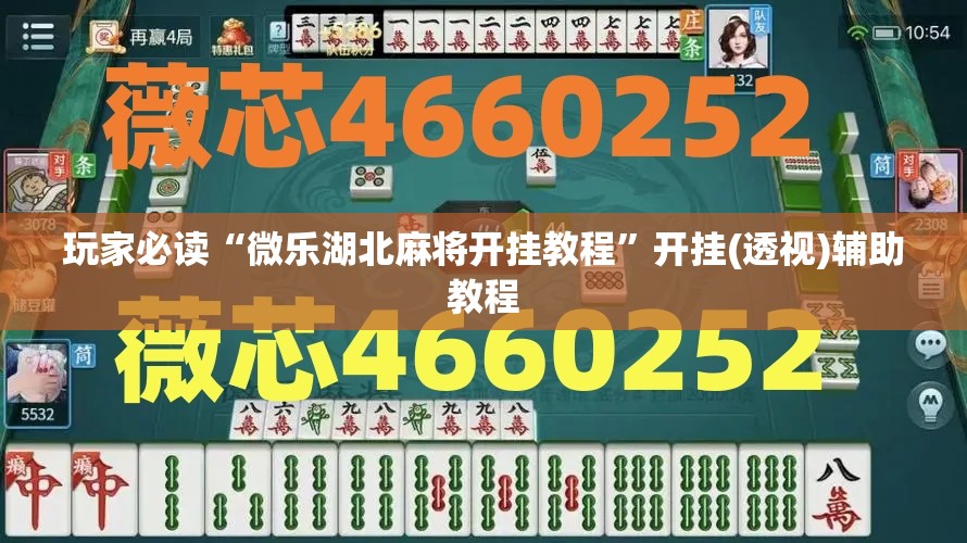 玩家必读“微乐湖北麻将开挂教程	”开挂(透视)辅助教程
