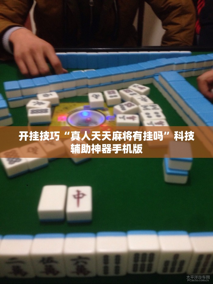 开挂技巧“真人天天麻将有挂吗”科技辅助神器手机版