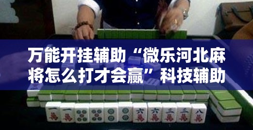 万能开挂辅助“微乐河北麻将怎么打才会赢”科技辅助神器手机版