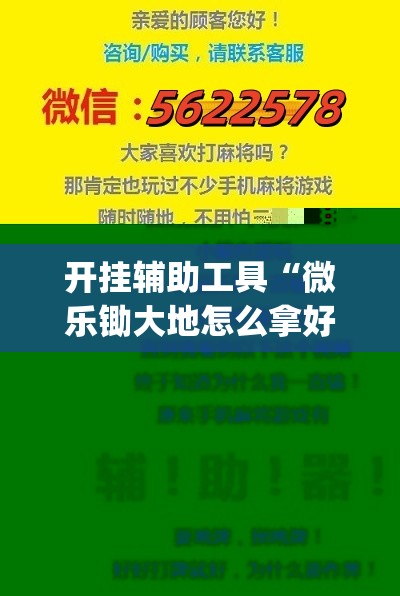 开挂辅助工具“微乐锄大地怎么拿好牌	”(透视挂)辅助下载教程