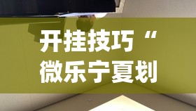 开挂技巧“微乐宁夏划水免费房间怎么开挂	”(透视挂)辅助下载教程